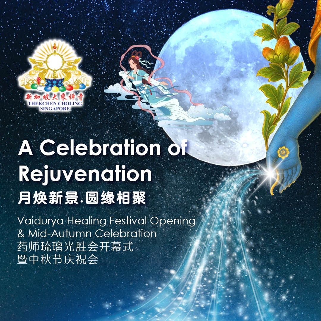 Odoo image and text block